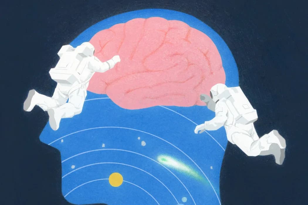 Život U Svemiru Pomera Mozak U Lobanji — Nova Studija Otkriva Lokalne Promene