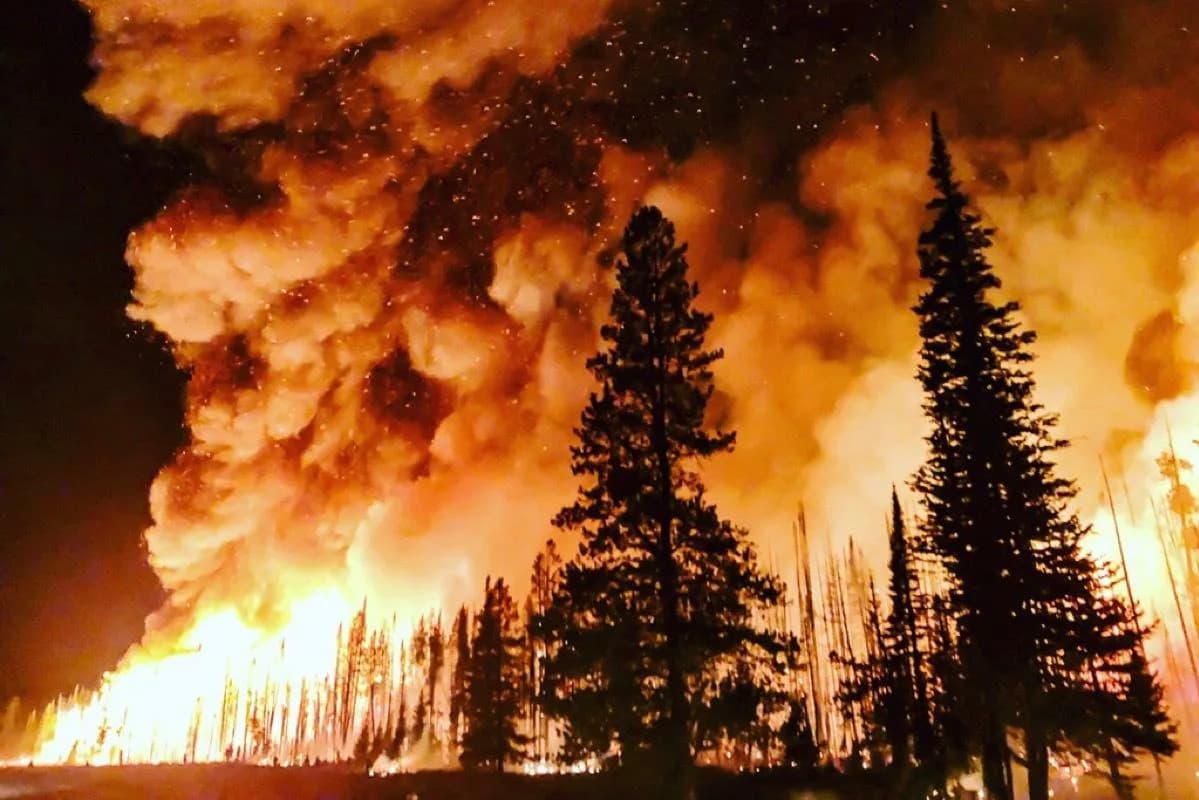 Upozorenje naučnika: Rizik od „Hothouse Earth“ (vruća Zemlja) raste dok se zagrevanje ubrzava