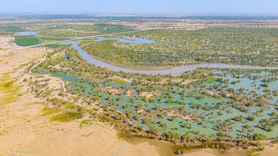 Kako Kina Pretvara Obod Taklamakana U Ponor Ugljenika — Šta Pokazuju 25 Godina Podataka
