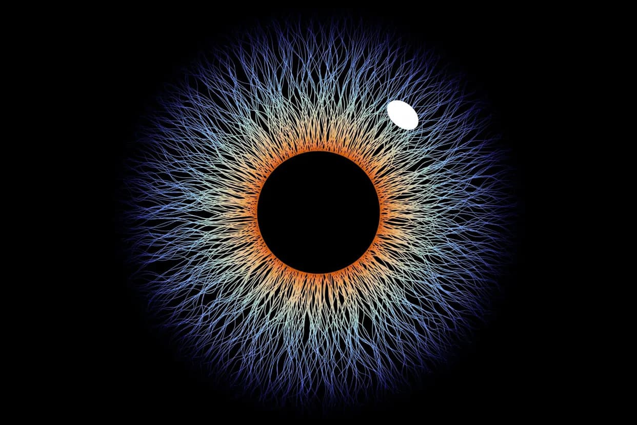 Kako Slepa Tačka Oka Može Otkriti Tajne Svesti — Novi Protokol Istraživača Sa Univerziteta u Glazgovu