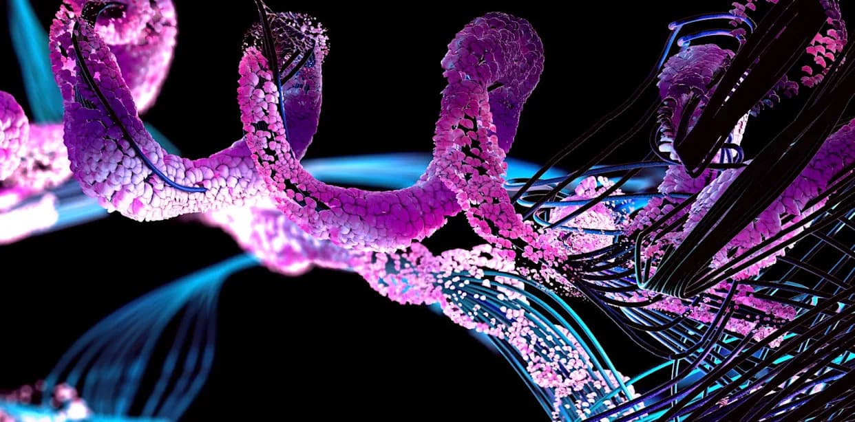 Naučnici otkrili gljivu koja menja oblik: koji geni kontrolišu prelaz između kvasca i micelijuma