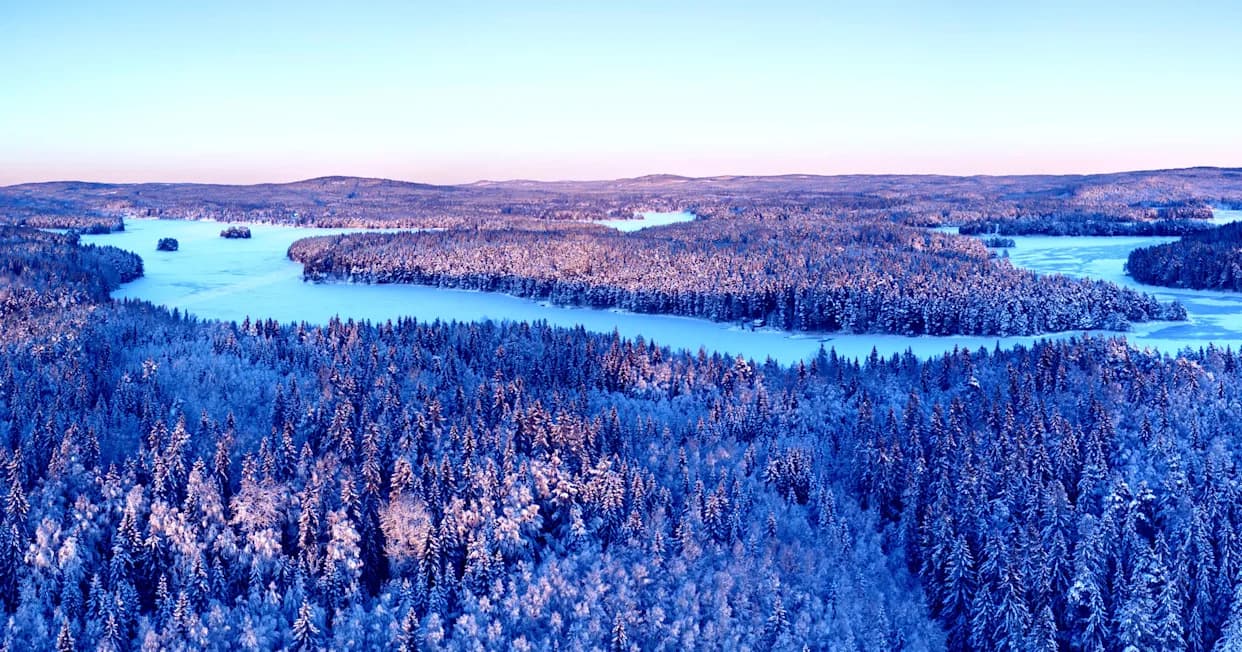 Borealne Šume Se Pomeraju Prema Severu: Sateliti Pokazuju Ozelenjavanje, Ali I Veće Rizike