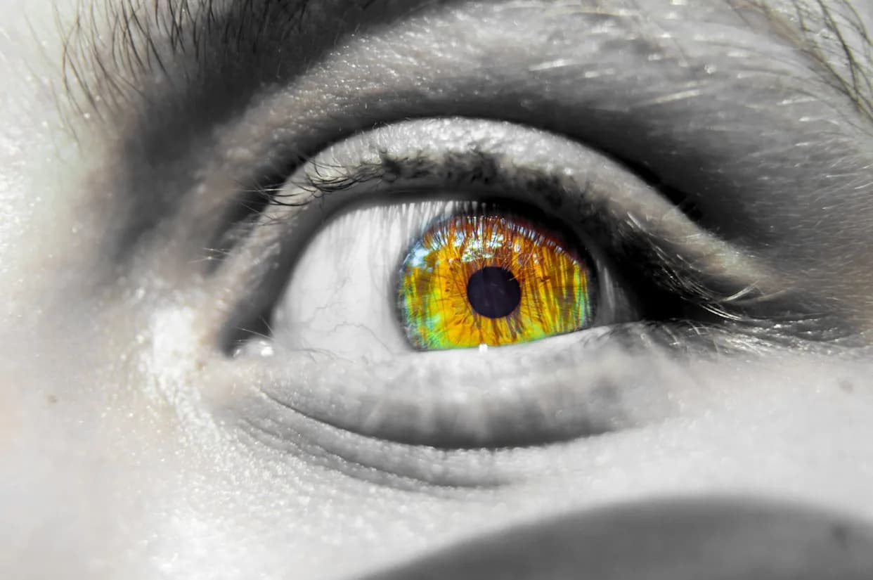 Moguća deseta planetarna granica: masovna deoksigenacija voda preti jezerima i okeanima