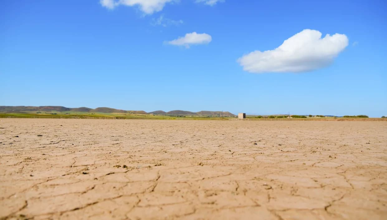 Milioni goveda u opasnosti: Talasi vrućine u Evropi mogu izazvati masovni pomor do 2050.