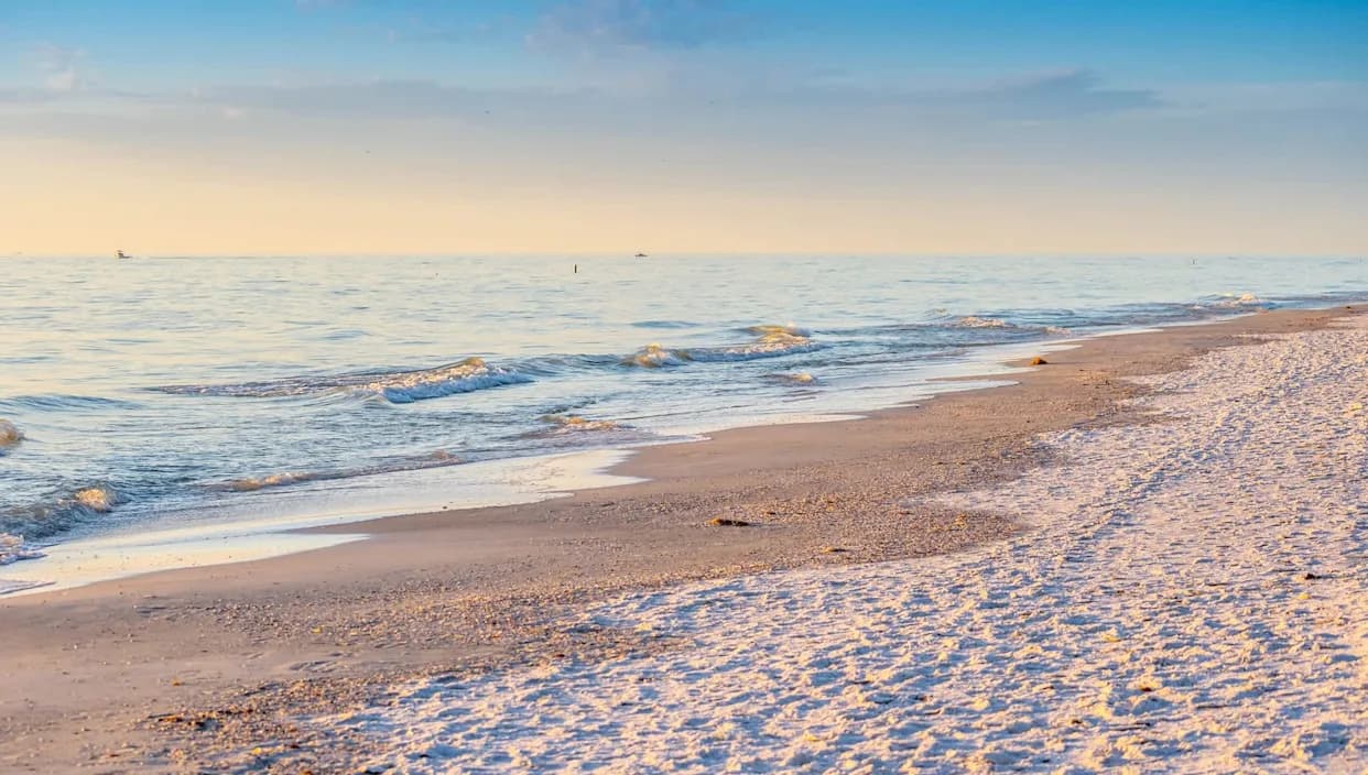 Naučnici upozoravaju: zakiseljavanje okeana može da oslabi zube ajkula