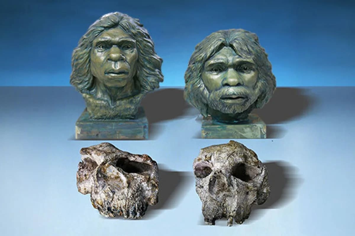 Homo erectus U Istočnoj Aziji Pre 1,7 Miliona Godina — Nalaz Koji Menja Priču O Ranom Širenju Hominina