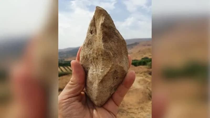 Novo datiranje Ubeidiye: Lokalitet u Jordanu Star Najmanje 1,9 Miliona Godina — Menja Priču O Migracijama Iz Afrike