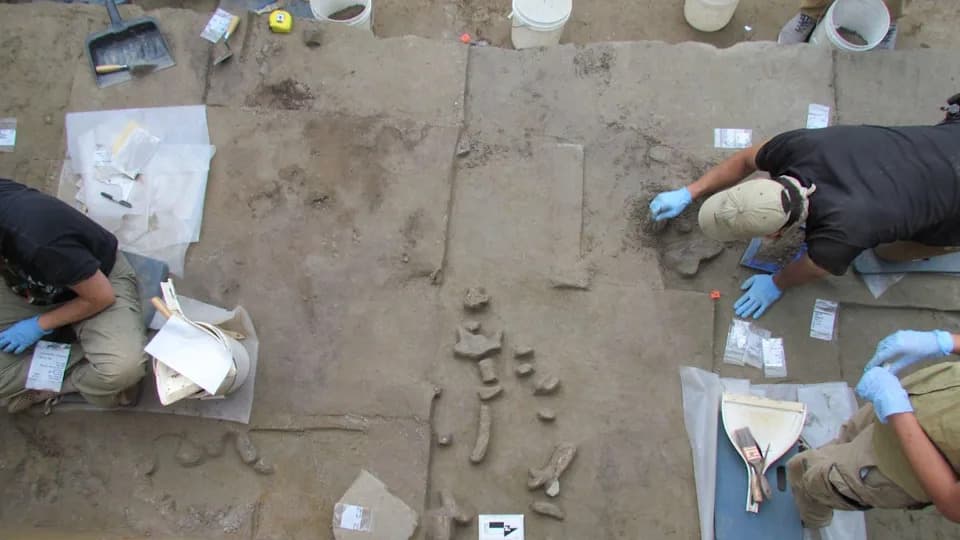 Alatke od mamutske slonovače stare 14.000 godina s Aljaske podržavaju unutrašnju rutu do Clovis kulture