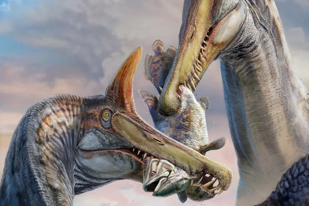 Kako je stara francuska mapa dovela do otkrića vrste Spinosaurus mirabilis u Sahari