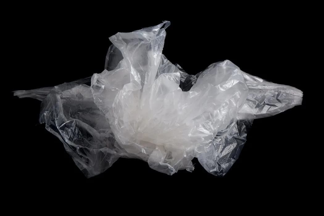 Kako Je Beli Bubaš Pokrenuo Revoluciju: Biorazgradiva Ambalaža Od Kitina I Celuloze