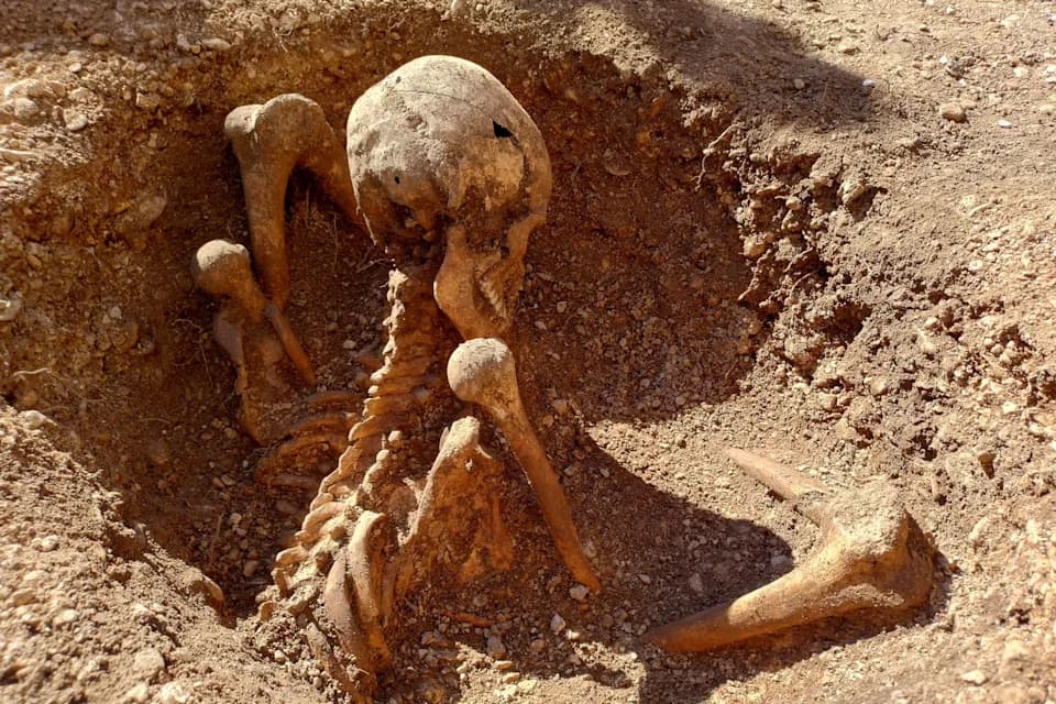 Deca U Dijonu Otkrila Misteriozni Galijski Skelet Pored Igrališta