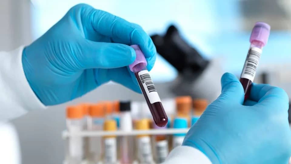 Rast CO2 Menja Hemiju Krvi — Analiza Povezuje Bikarbonat +7%, Kalcijum -2% i Fosfor -7%