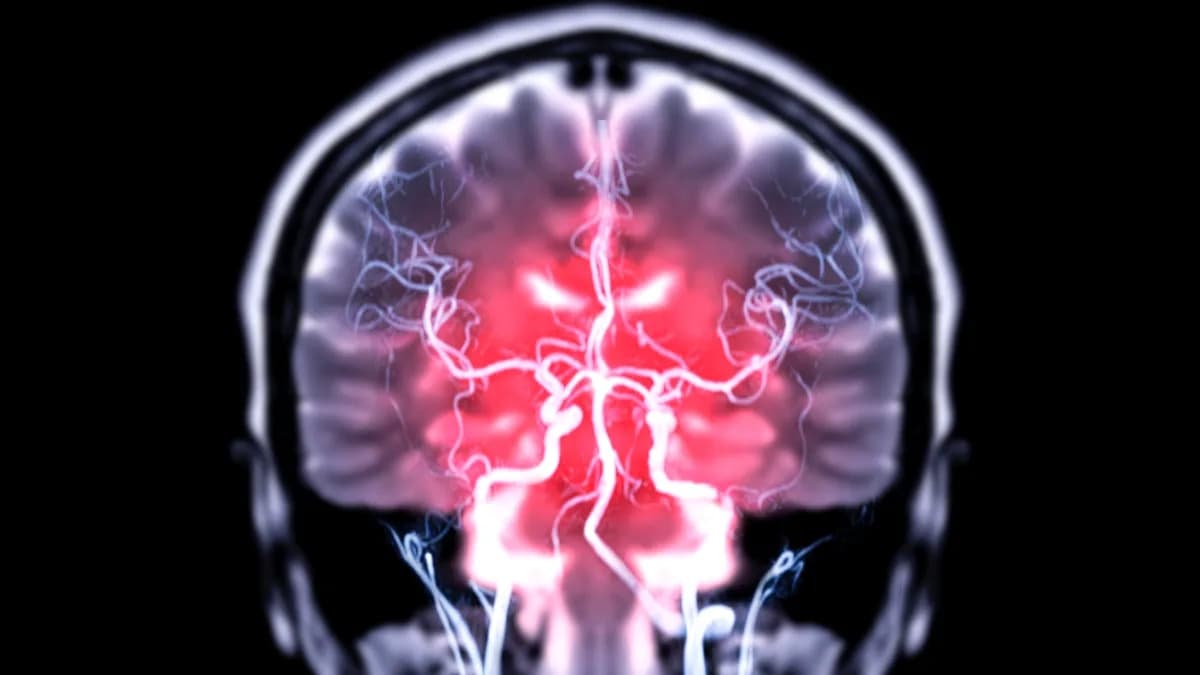 Bakterije iz creva mogu dopreti do mozga putem vagusnog nerva, pokazala studija na miševima