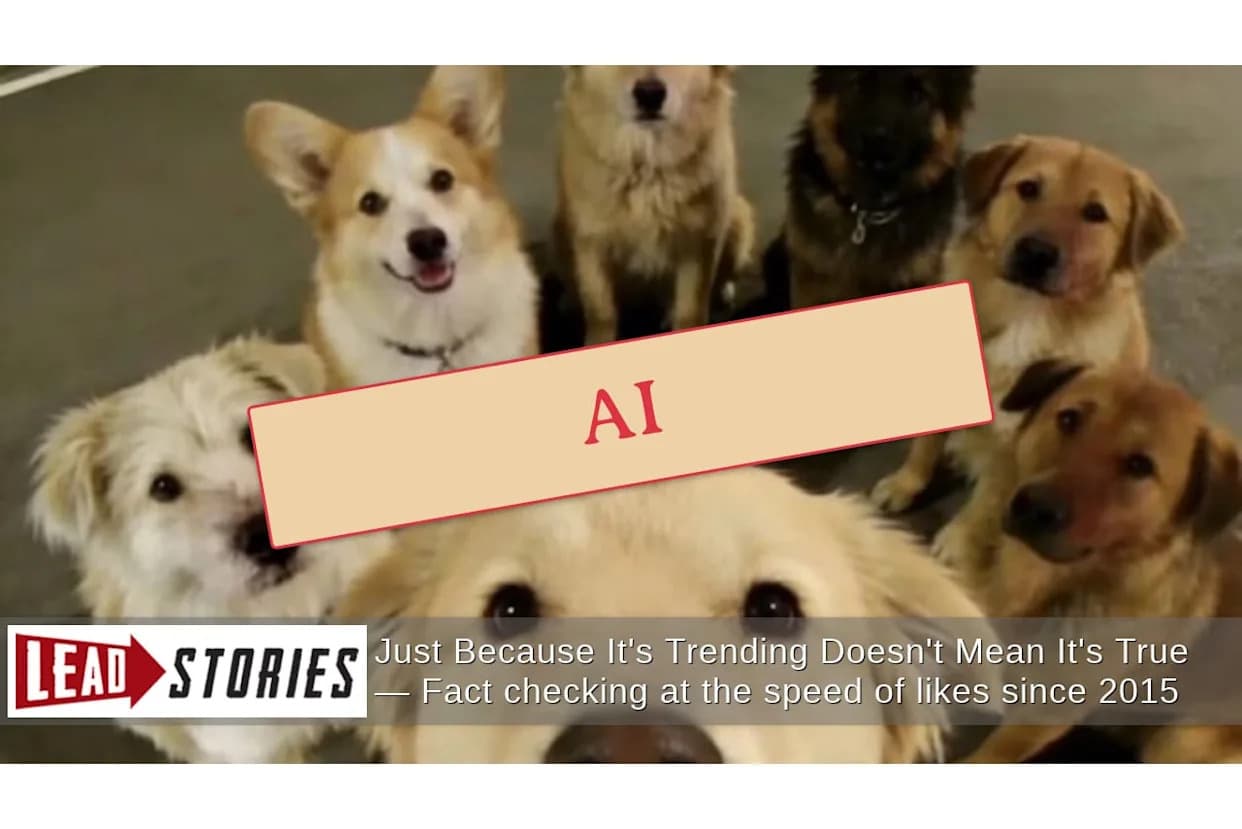 Provera činjenica: Selfi sa sedam pasa iz Kine najverovatnije je AI‑generisan — nije stvarna fotografija