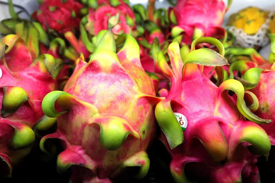 Nova nada protiv Alchajmera: alfa‑amyrin iz marakuje pokazuje potencijal