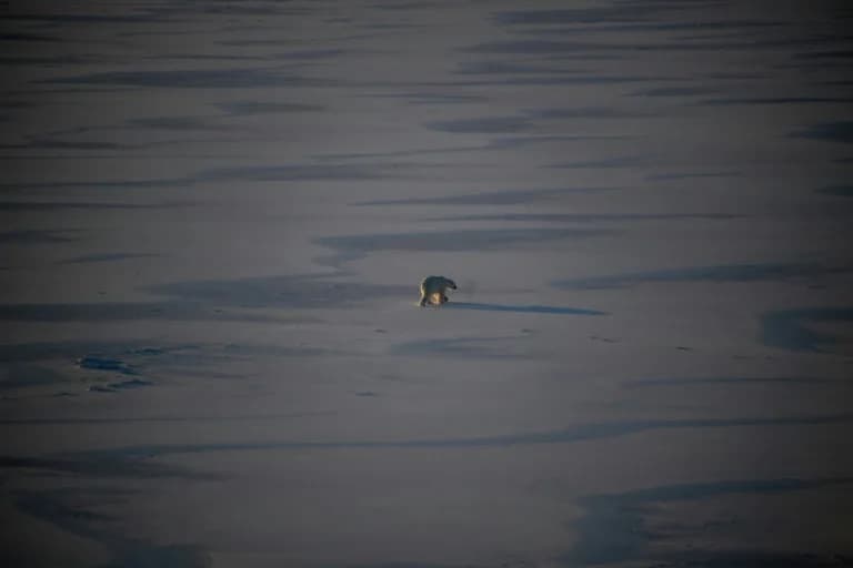 Arktički morski led pao na najniži nivo u istoriji satelitskih merenja — rizik od ubrzanog letnjeg topljenja