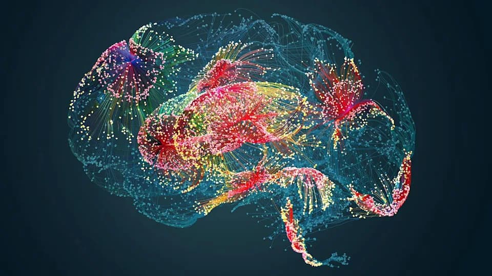 Starenje briše epigenetske oznake u mozgu — mišji atlas otkriva kako gubimo kontrolu nad genima