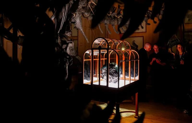 Tašna Napravljena Delom Od Kolagena Iz T. rex Fosila Predstavljena U Amsterdamu