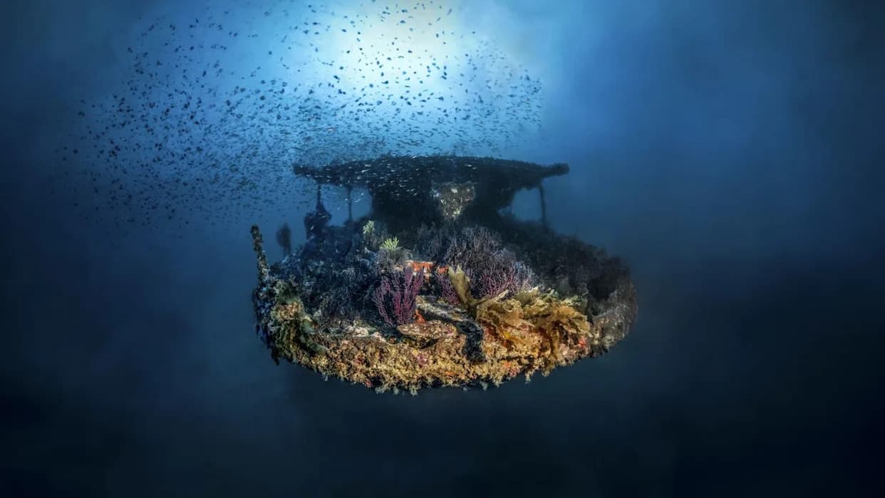 Tajanstvena olupina iz 16. veka na 2.500 m dubine: Francuska mornarica otkrila dobro očuvan brod kod Ramatuella
