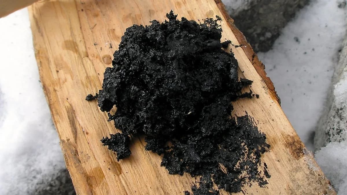 Neandertalci Kao Prvi Farmaceuti: Brezin Katran Pokazuje Antibakterijsko Dejstvo