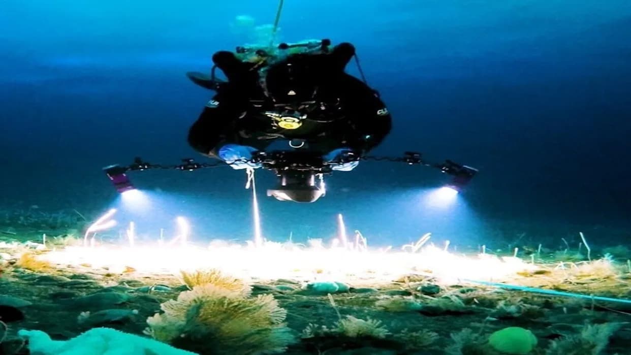 Nauka pod ledom: Skriveni život Antarktika i šta nam govori o klimatskim promenama