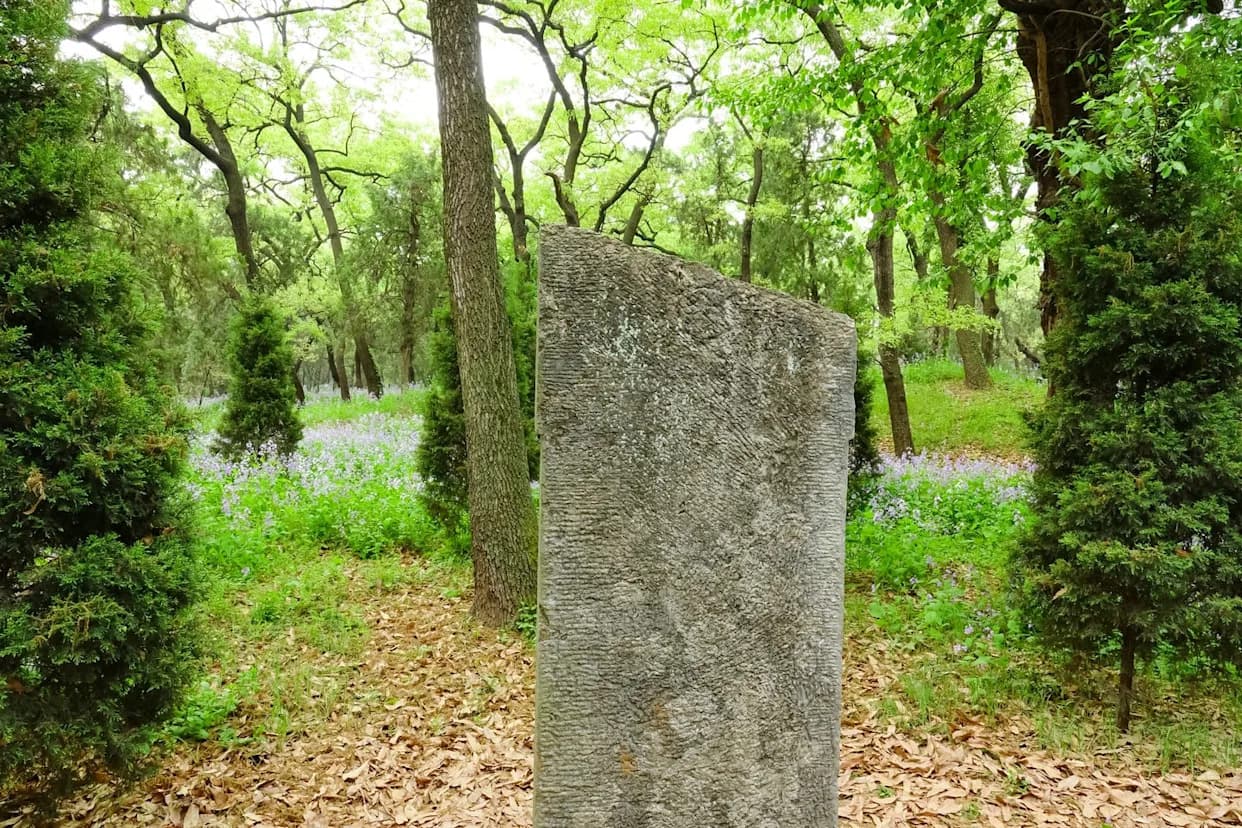 Student Posumnjao — I Otkrio Ritualni Kameni Kompleks Star Oko 3.700 Godina u Šumi Derbyshirea