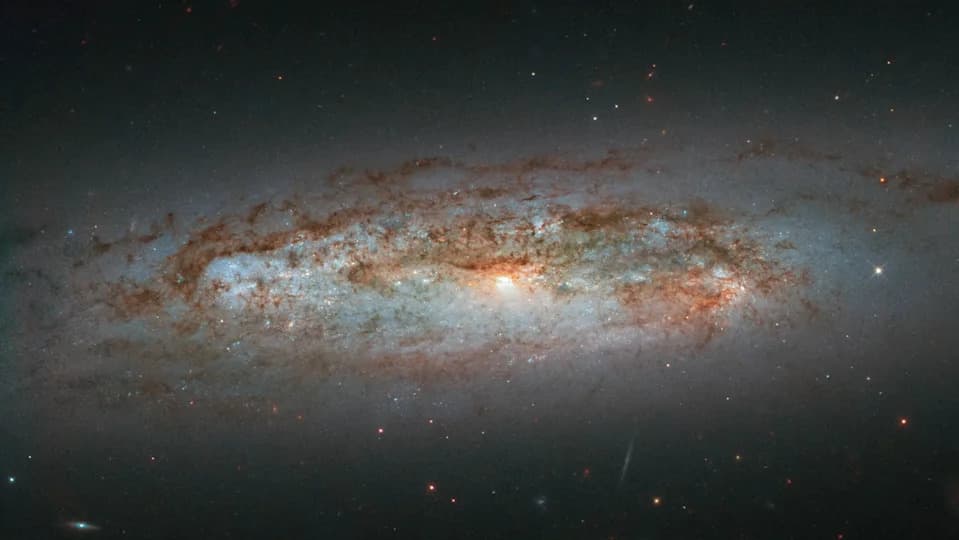 Hablova spektakularna slika: Spiralna galaksija NGC 3137 blista mladim zvezdama