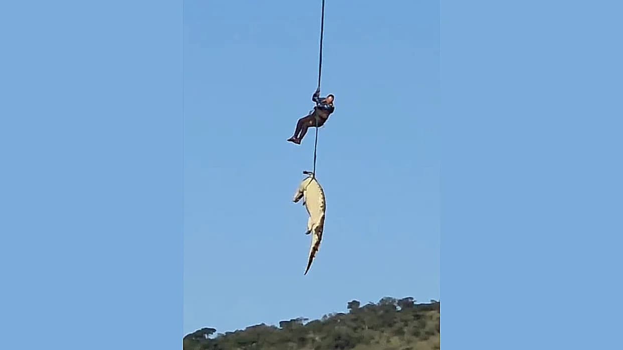 Helikopterom izvučen ogroman krokodil: sumnja se da je pojeo nestalog 59-godišnjaka