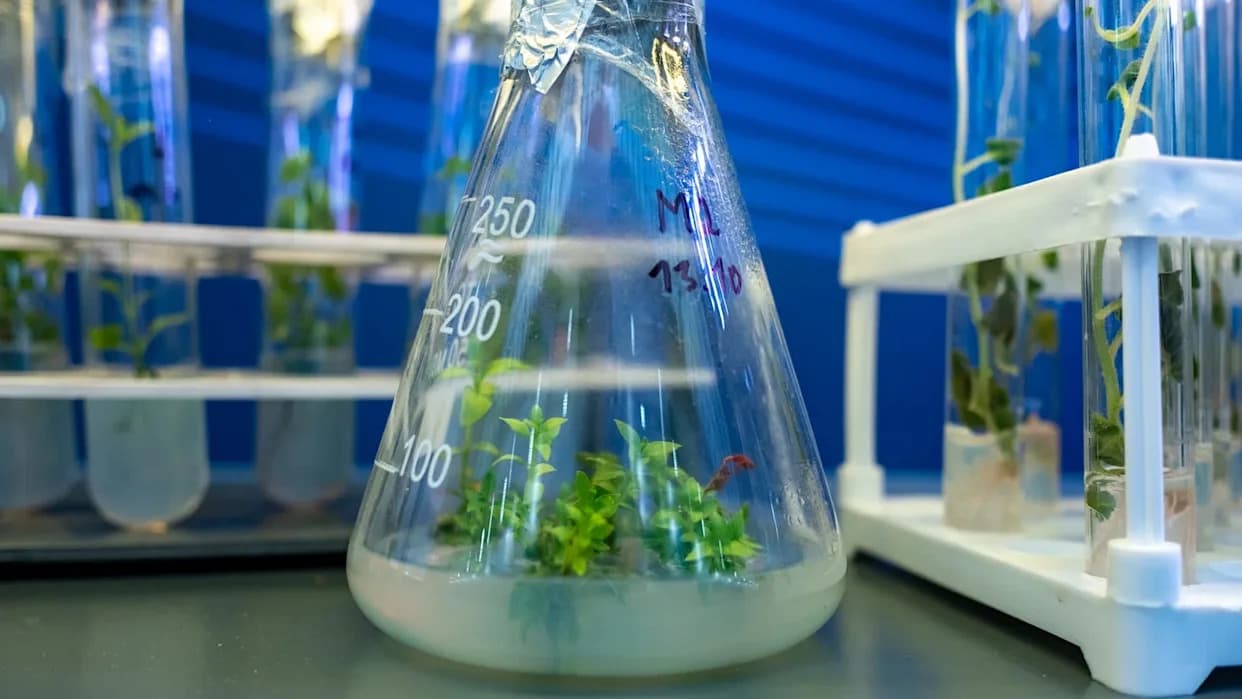 Žive biblioteke: Kako biobanke vraćaju kelp, ostrige i morske trave