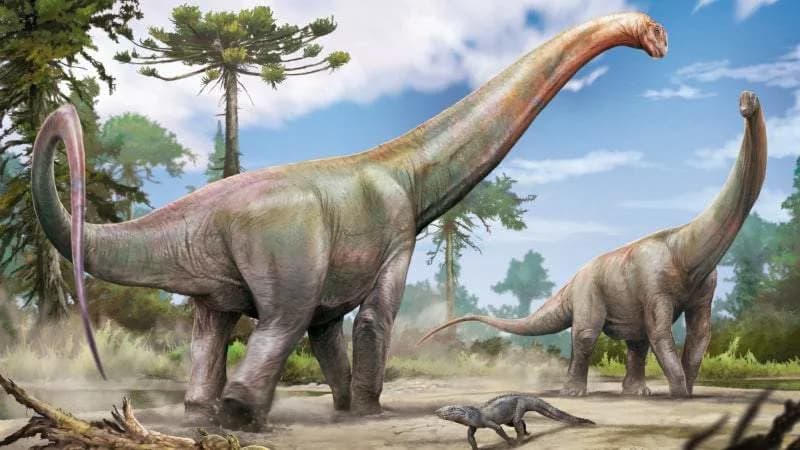 Otkriven Dasosaurus tocantinensis — divovski sauropod (≈120 Ma) i tragovi drevne rute iz Evrope ka Južnoj Americi