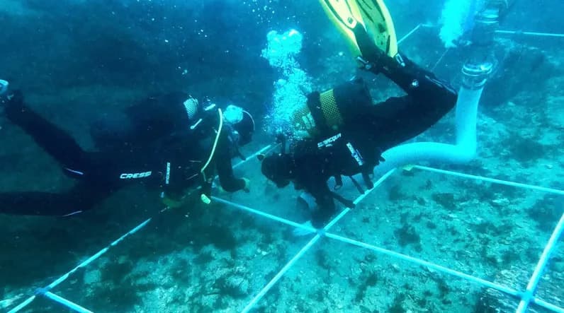 Više od 150 potopljenih brodova: Otkriveno groblje staro do 2.400 godina u Zalivu Gibraltara
