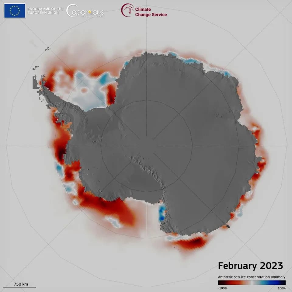 Nova studija objašnjava nagli nestanak morskog leda na Antarktiku od 2015. godine