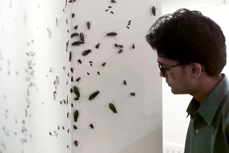 „Cockroach Janta Party“: Satirični Pokret Milionskih Pratilaca Nastao Posle Izjave Vrhovnog Sudije