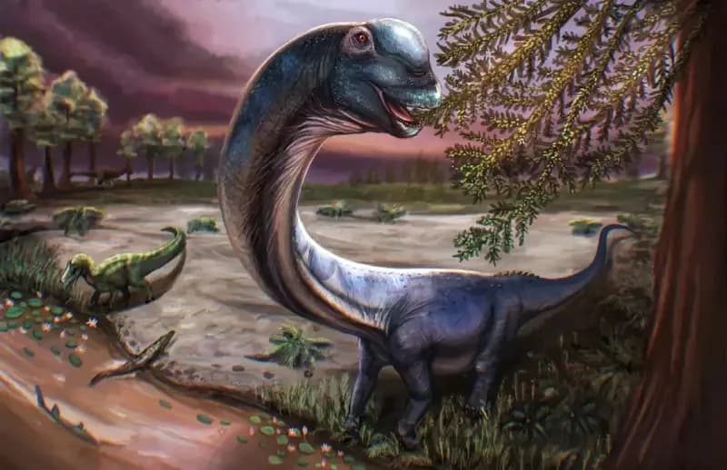 Otkriven Nagatitan chaiyaphumensis — Najveći Dinosaur U Jugoistočnoj Aziji