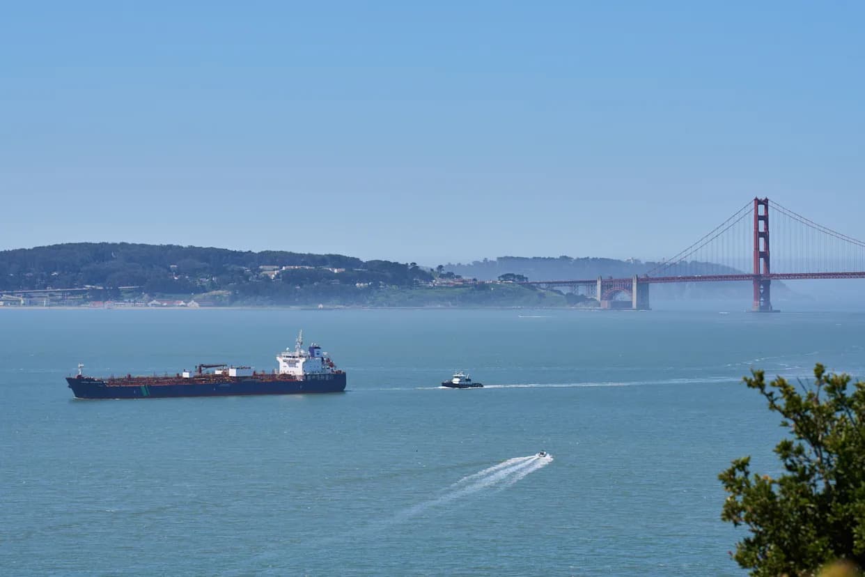 WhaleSpotter Pokrenut u Zalivu San Franciska — AI Mreža Upozorava Brodove u Realnom Vremenu