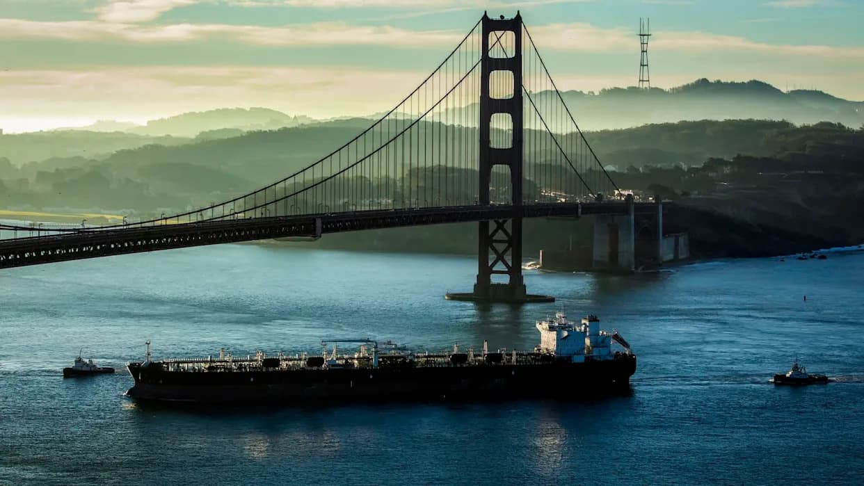 Alarm Za Kitove: AI Sistem WhaleSpotter Pokrenut U Zalivu San Franciska Da Bi Smanjio Smrtonosne Sudare