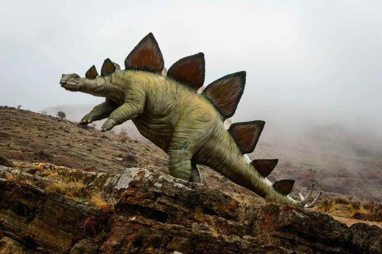 Skoro Cela Lobanja Stegosaura Izmenila Nauku: Otkriven Novi Ogranak Neostegosauria
