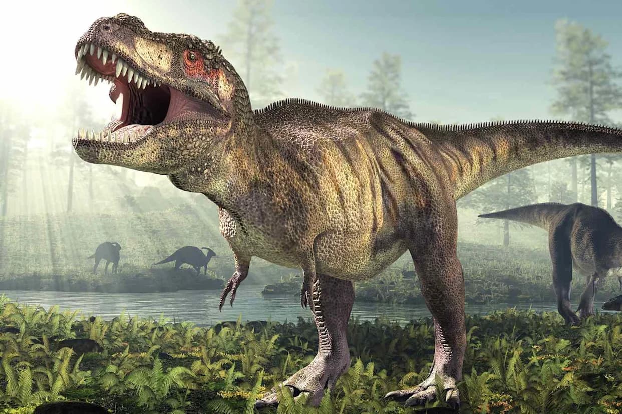 Zašto je T. rex Imao Tako Male Ruke? Novo Istraživanje Otkriva Evolutivni „Kompromis“