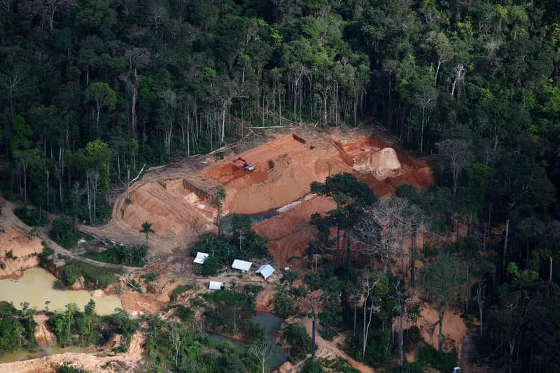 Greenpeace: Ilegalni rudari iz Amazona izvukli zlato vredno 3,88 mlrd USD koristeći «fantomske» dozvole