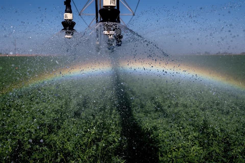 Milioni Kalifornijaca Mogu Biti Izloženi 'Večitim' PFAS Pesticidima — Bifentrin Pronađen U Površinskim Vodama