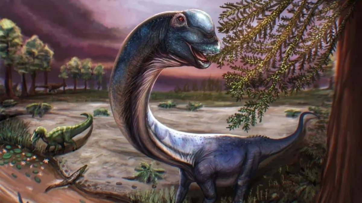Nagatitan — Najveći Dinosaur Otkriven u Jugoistočnoj Aziji: Sauropod Dugačak Do 27 m