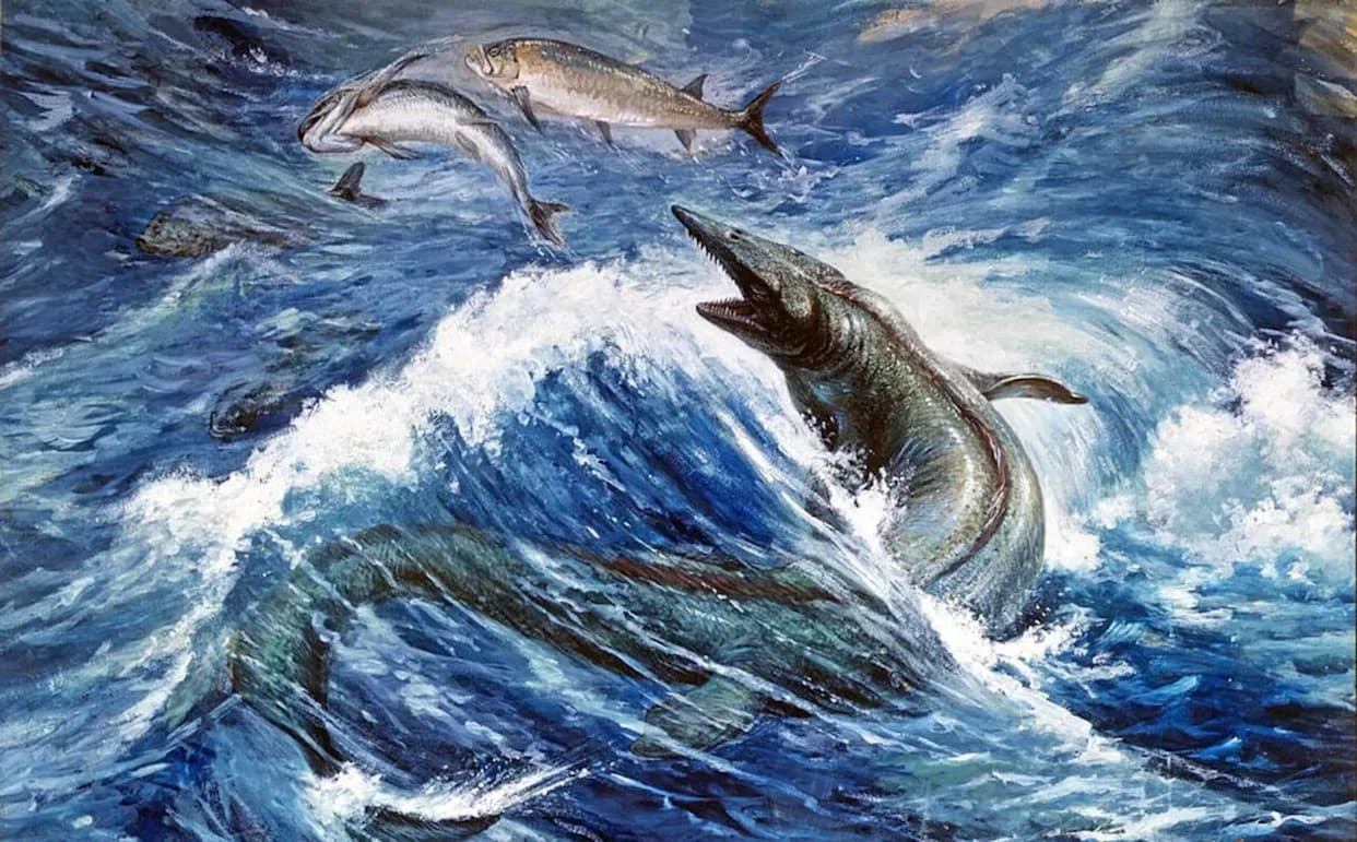 Tylosaurus rex — Novi "Morski Tiran" Otkriven Među Muzejskim Fosilima