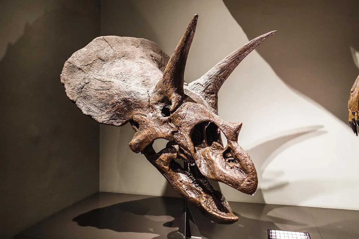 13 scenarija: Šta bi se dogodilo da dinosauri još uvek žive