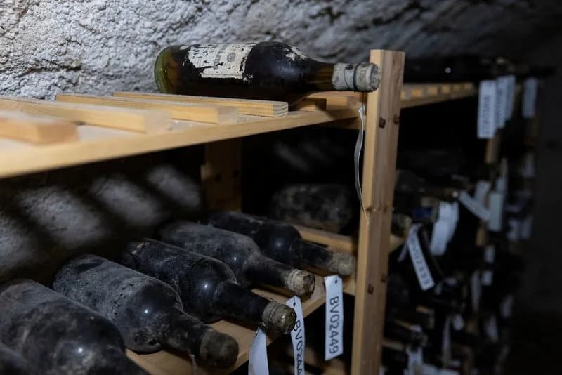 Zamak Becov Izložio 133 Boce Vina Iz Kraja 19. Veka — Restauracija Château d’Yquem