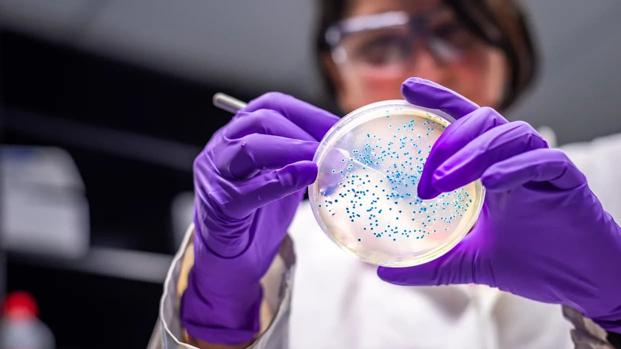 Klimatske promene ubrzavaju otpornost salmonele na antibiotike — međunarodna studija