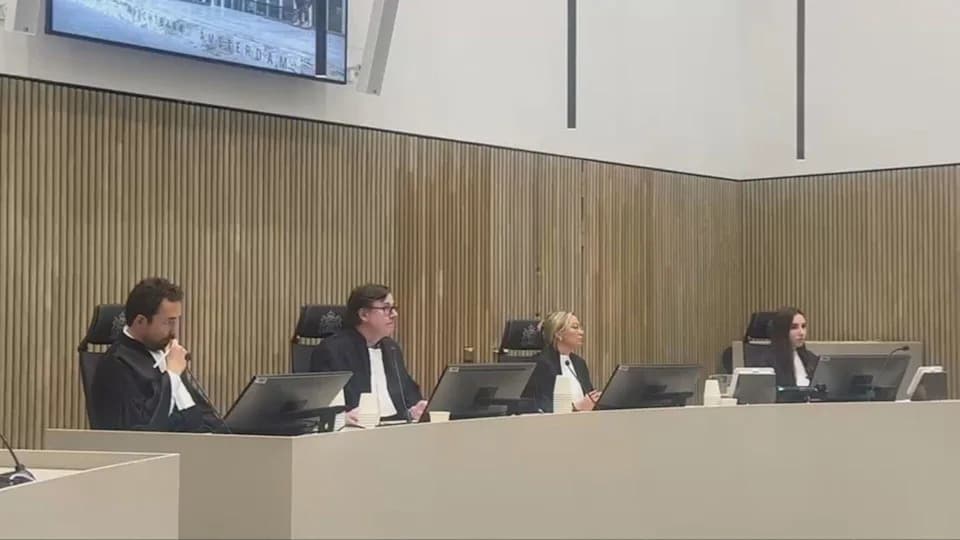 Advokat: Deportacija vođe bande Stevena Lynosa bila kao 'otmica' — Odluka o ekstradiciji čeka se 18. juna