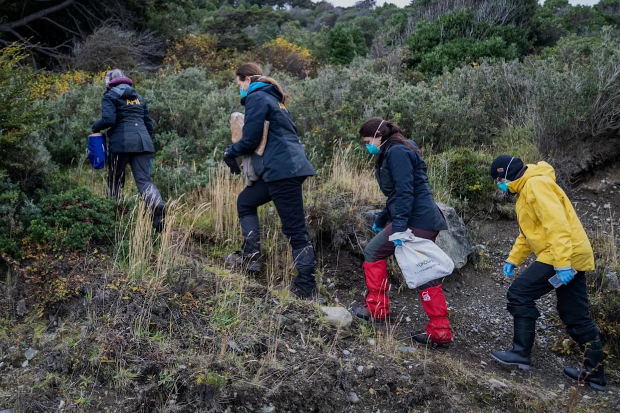 Argentina Širi Istragu Hantavirusa — CDC Se Pridružuje Testiranju Glodara U Mendozi
