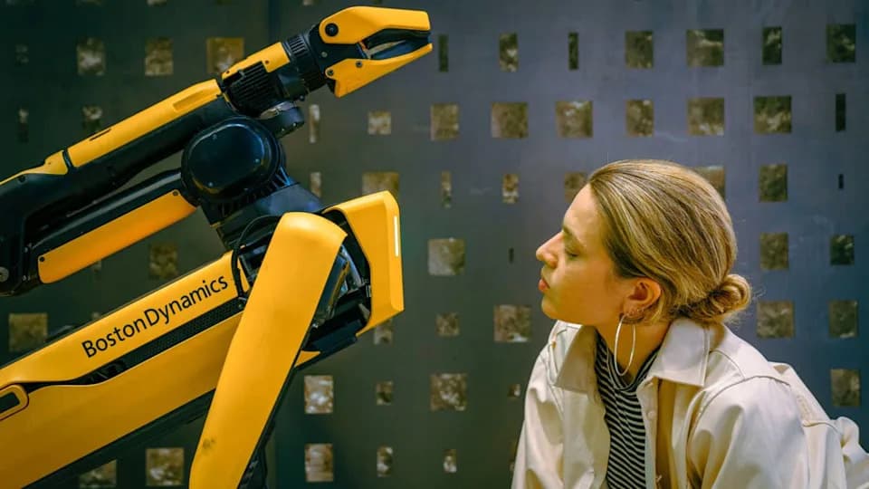 Spot Robotski Psi Hyundaija Na Dužnosti Tokom Svetskog Prvenstva — Ne Skeniraju Lica