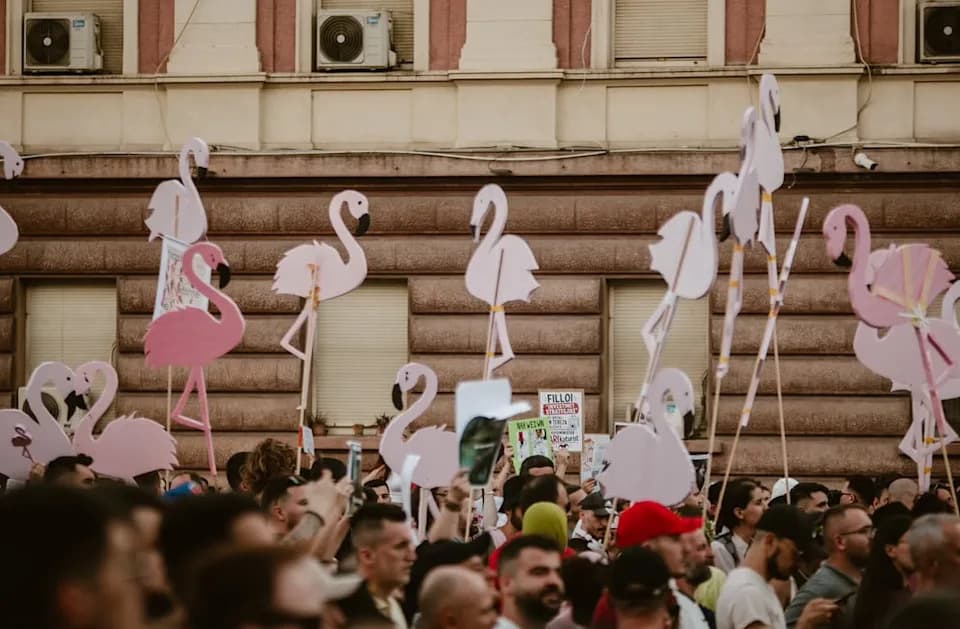 „Flamingo revolucija“: Albanski dizajneri i građani u borbi protiv luksuznog projekta na Sazanu