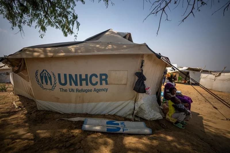 UNHCR: Globalni Broj Izbeglica Pao Na 41,6 Miliona — Zabrinutost Zbog Prisilnih Povrataka